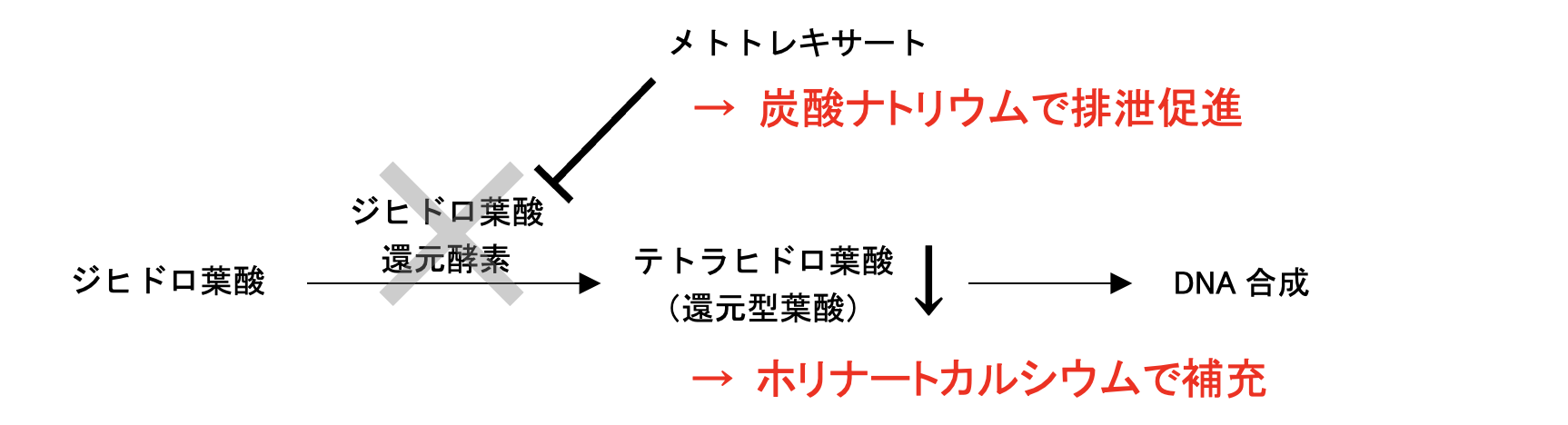 解説画像